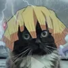 cat_126126