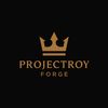 proyectoroy