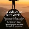 rous_tu.xhinita