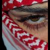 noorff298