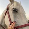 reem.ali4337