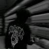 bray_donz