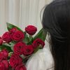 danaabdulhamid3