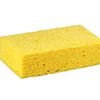 spongeooo