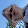 goose_459