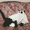 luna_6741