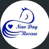 Gods_Power_Horse_Sanctuary