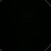 temnegro5621