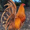 jrkgamefarm_01