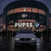 pupss_edit