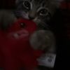 nichole7567