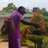 mugaborichard431