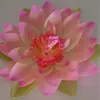 fleurdelotus045