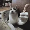 hellohello_1234ok