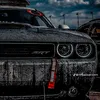 ali.zaid470
