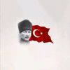 albina.h_