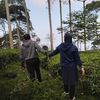 dwikibowo6