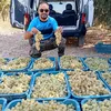 hasan.hasan4609