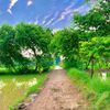 hassnain_sajjad19