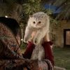 ratel.abdullah5