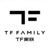 tfstan_dhi