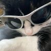 itz.stefy6