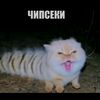 veronzkf0wt