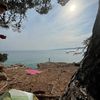 zinaa_006