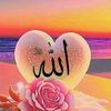user7598306262281