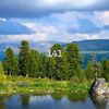 save_nature141_0