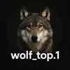 wolf_top.1