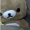 lovebear123450