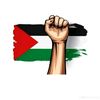 save palestine 🇵🇸