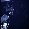 thefrickenmusician