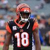 aidenbutler61