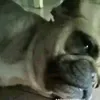 valenlamejor95