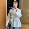 zn_.nt_