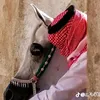 aimanqoklzt