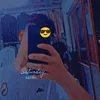 ahm_d316