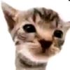 icedwaterat3am