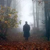 tsoy.4.ru