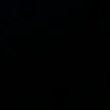 zaid12181