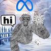 snow_vr8373
