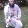 ansaralaseer