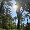 dajeroma6878