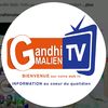 Gandhimalien