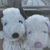 lovesfluffyanimals