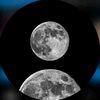 dark_soul_103