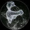 user9105207906677