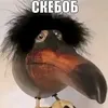 gector690